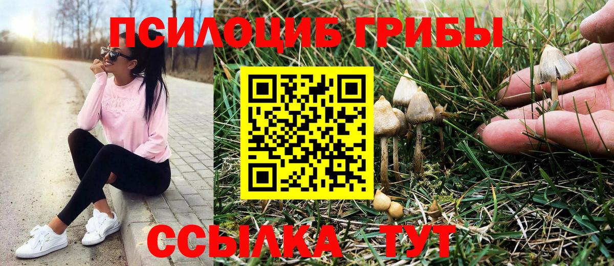 Псилоцибиновые грибы мицелий Ачхой-Мартан